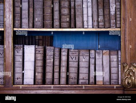 Baroque Library Hi Res Stock Photography And Images Alamy