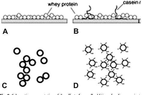 Figure From Effect Of Heat Treatment On Milk Protein Functionality At