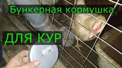 Бункерная кормушка для КУР несушек. Автономная ферма - YouTube