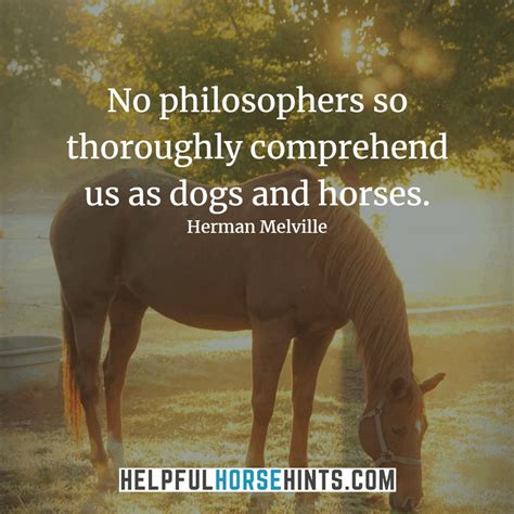 45+ Horseback Riding Quotes That Will Inspire You (w/ Shareable ...