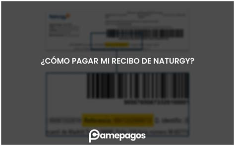 Cómo pagar mi recibo de Naturgy Actualizado 2025