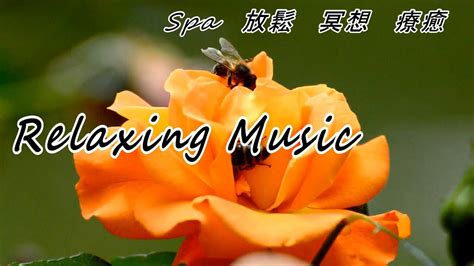 Spa音樂 Spa Music 冥想音乐 Meditation Music 放鬆音樂 Relaxing Music 禪healing Music 瑜珈音樂 輕音樂 按摩音樂 深度睡眠 大自然