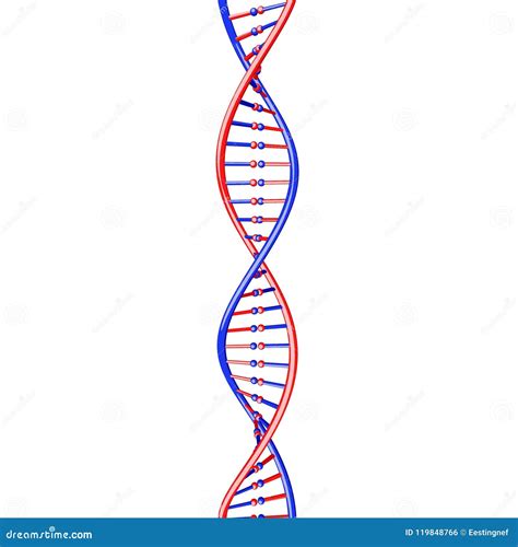 Dna Strand Isolated On White Background D Rendering Illustration