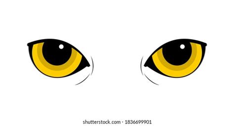 Cat Emotions Eyes Realistic Set Isolated Stock Vector (Royalty Free ...