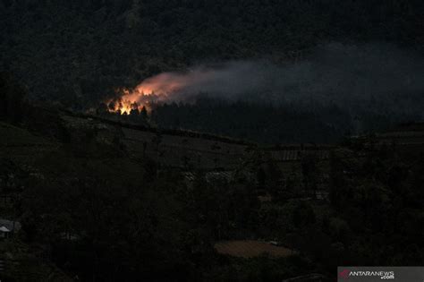 Hektare Hutan Lereng Timur Gunung Slamet Terbakar Antara News