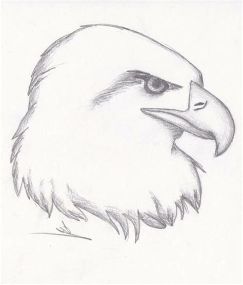 50+ Easy Animal Sketches Drawing Ideas - HARUNMUDAK