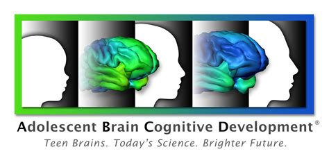 The Adolescent Brain Cognitive Development (ABCD) Study | Psychiatry | Michigan Medicine ...