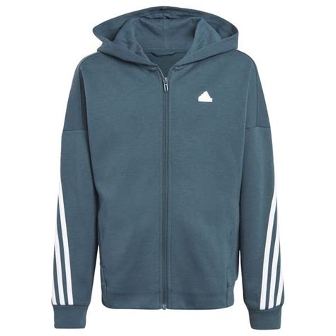 adidas Hoodie Future Icons 3-Stripes - Blau/Weiß Kinder | www ...