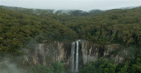 Waterfalls on Rainforest Photo · Free Stock Photo