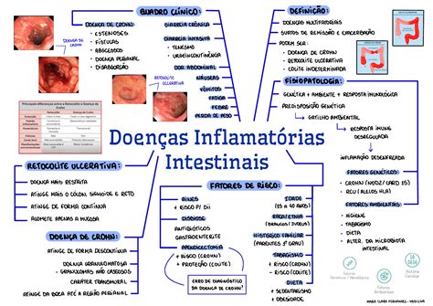 Doenças Inflamatórias Intestinais Mapa Mental Gastroenterologia