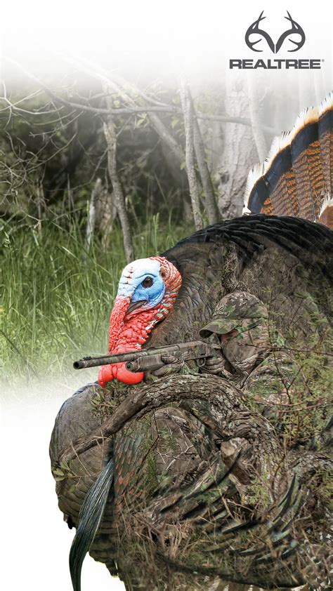 Spring Turkey Hunting Wallpaper 58 Images