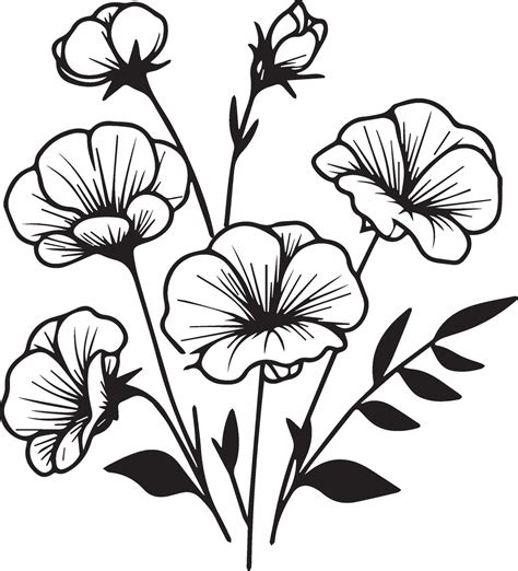 Sweet Pea Flower Drawings Sweet Pea Flowers Colorless Black And White