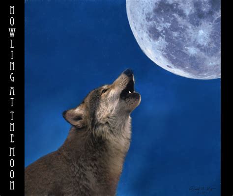 Howling At The Moon By Melancholy Man On Deviantart