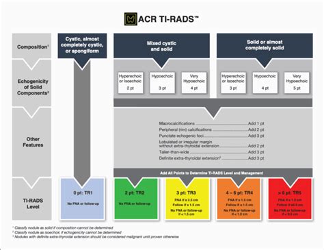 Acr Ti Rads Calculator Usg Thyroid Nodule Score Radiogyan