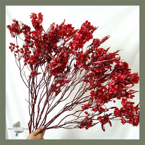 Jual Chinese New Year Preserved Red Hopbush Dodonaea Bunga Imlek