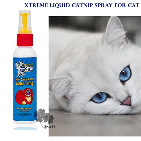 Xtreme เอกซตรม Liquid Catnip Spray for Cat แคทนปสเปรย สำหรบแมว