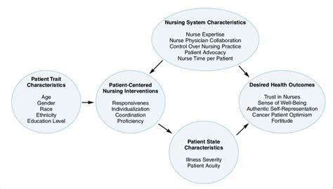 Nursing Conceptual Framework Model