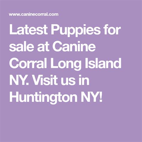 Latest Puppies for sale at Canine Corral Long Island NY. Visit us in ...