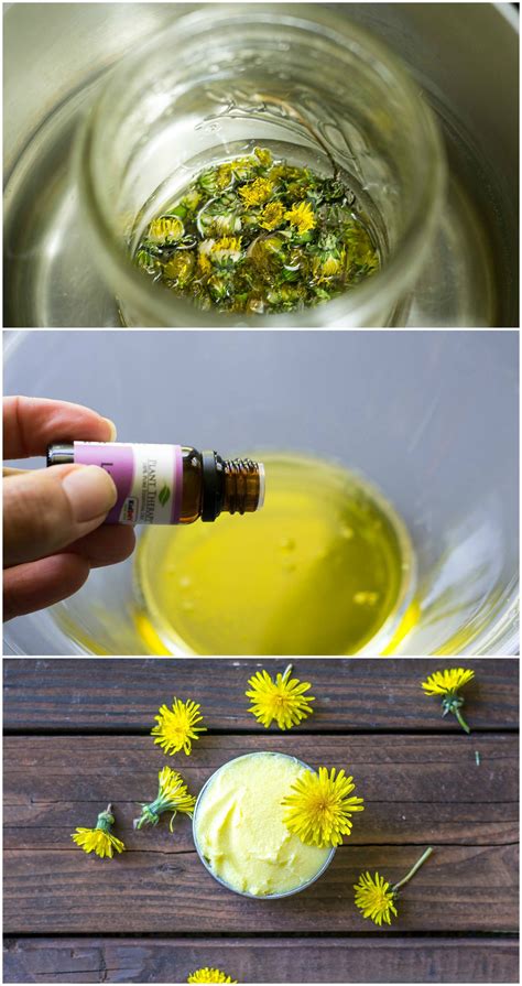 How To Make A Dandelion And Coconut Oil Moisturizer Coconut Oil For