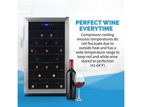 19" Freestanding 50-Bottle Wine Fridge