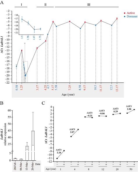 科学网落叶松生命周期运转调控的分子基础 李万峰的博文