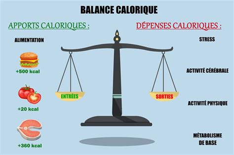 Comprendre La Perte De Poids