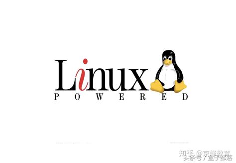 怎么下载 Linux 系统 知乎