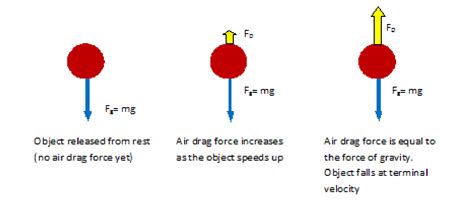 Force Diagram Of A Falling Object