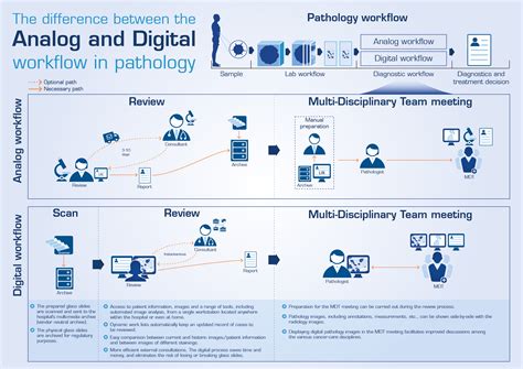 Digitizing Pathology Dont Create Another Silo Sectra Medical