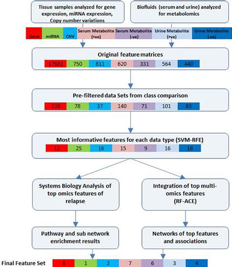 Bioinformatics Workflow Of Multivariate Analysis Feature Selection