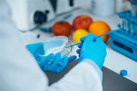 Premium Photo Food Safety Testing In Microbiology Laboratory