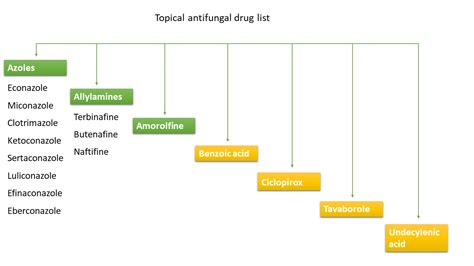 Define Antifungal Agents Drug At Kristen Valencia Blog