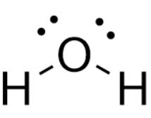 Why does a water molecule have a bent shape? - CBSE Tuts