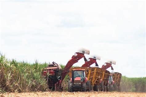 5 tecnologias que ajudam os produtores a alcançar seus objetivos