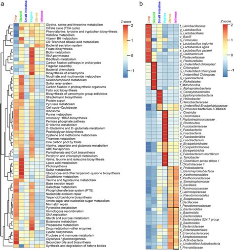 Comparison Of Predicted Functional Capacities And Site Associated Taxa