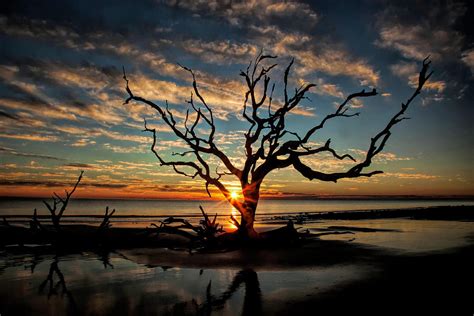 Sunrise at Driftwood Beach, Jekyll Island, GA Photograph by Allen Penton