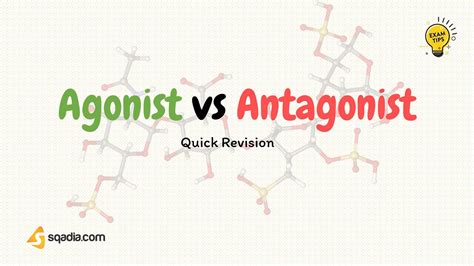 Agonist vs Antagonist - Pharmacology