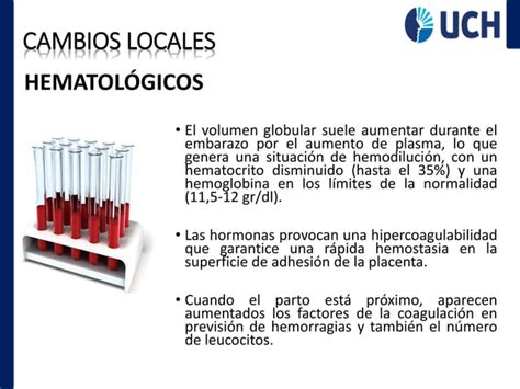 CAMBIOS FISIOLOGICOS DURANTE EL EMBARAZO Pdf