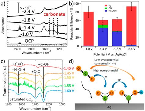 CO2 Electrochemical Reduction As Probed Through Infrared Spectroscopy