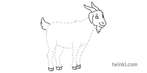 Eyfs Goat Dashed Lines Ver 1 Illustration Twinkl