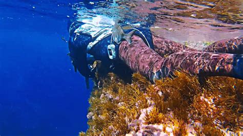 Pesca Submarina En Poca Profundidad C Maras Grabando En Persona