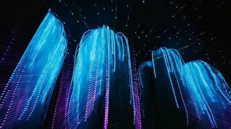 Inyala Interactive Light Art Installation Exhibition Art In Kuala