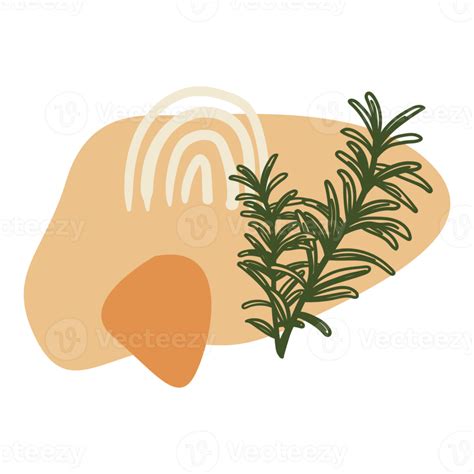 Aesthetic Boho Blob Shape And Outline Flower 11382393 Png