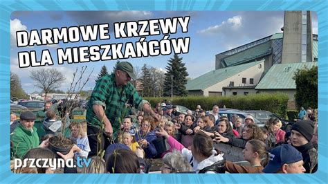 Darmowe azalie magnolie hortensje Akcja rozdawania krzewów w