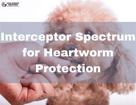 Interceptor Spectrum For Heartworm Protection — Usa Script Helpers © 2024