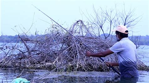 Unique Fishing Fisherman Catching Big Rohu Fishes In River Hook