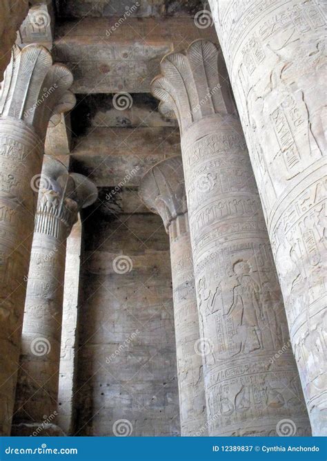 Egyptian Pillars Stock Image Image Of Egypt Flower 12389837