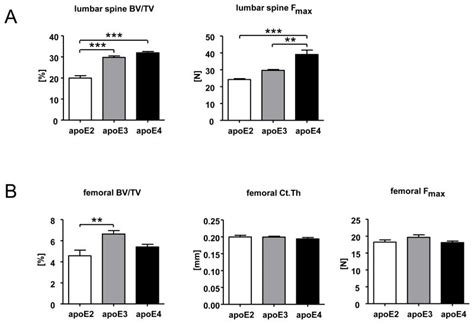 Human Apolipoprotein E Isoforms Differentially Affect Bone Mass And