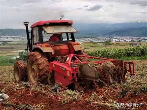 草垻：多措並舉確保糧食生產安全 每日頭條