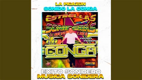 La Picazon Exito Sonido La Conga LIMPIA YouTube